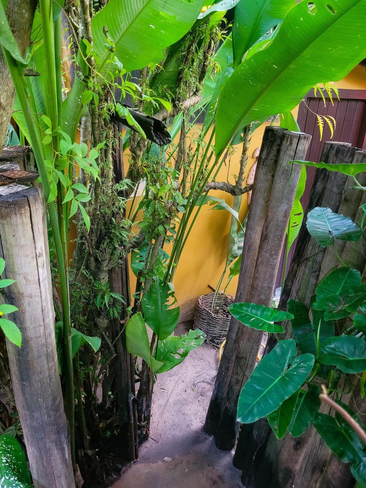 Raiz Estalagem Caraíva